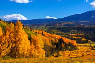 Aspens below Ohio Pass-2040